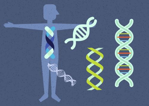 科学家们窃听DNA合成器以窃取遗传蓝图