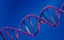 扭曲拉伸的DNA可能会增加CRISPR-Cas9脱靶变化的风险