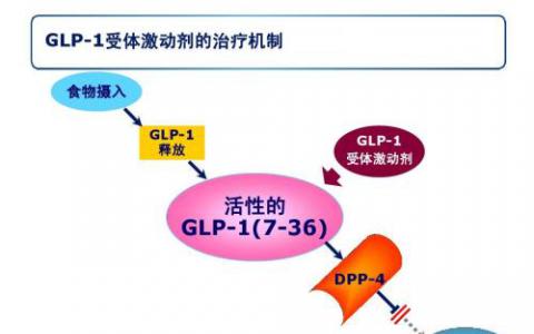 礼来GLP-1受体激动剂周制剂度拉糖肽正式获批进入中国