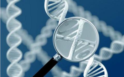 一种新的测序方法 用于检测与癌症相关的DNA修饰