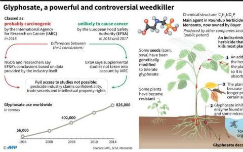 美国法院告诉记者 人类癌症的综合杂草杀手因素