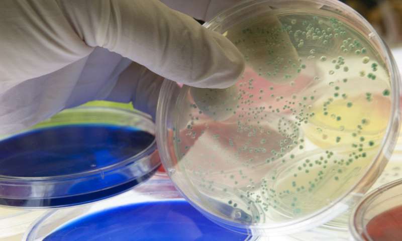变形蛋白质保护细菌免受入侵者的侵害