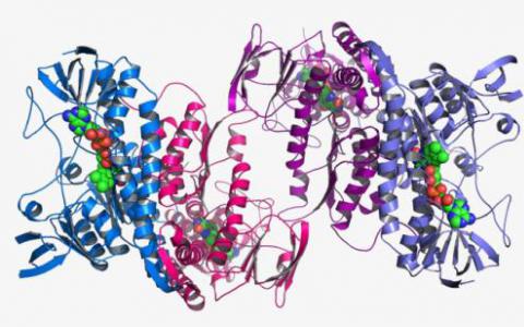 众包计算机网络深入研究蛋白质结构 寻求新的疾病治疗方法