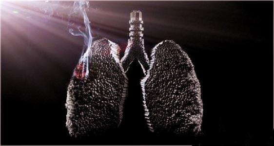 研究人员揭示部分肺癌耐药的根本原因