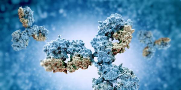 双特异性抗体 TG宣布启动TG-1801首个人体I期研究