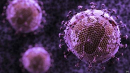 定制的蛋白质可能会产生抗HIV的抗体