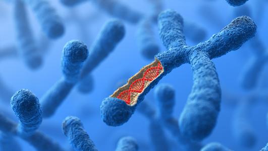 突破性的染色体成像可以帮助开发新的治疗方法
