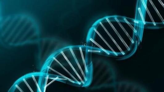 减缓并修复致癌DNA损伤的分子机制被发现