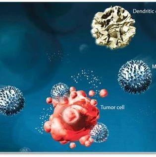 科济生物再获CD19靶向的CAR-T细胞的临床试验许可