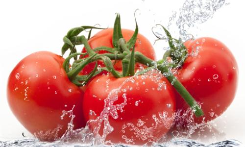 番茄中番茄红素可减少脂肪肝 炎症和肝癌