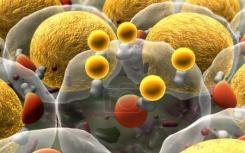 脂肪细胞释放含脂质外泌体可调节巨噬细胞