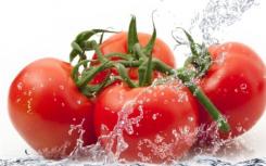 番茄中番茄红素可减少脂肪肝 炎症和肝癌