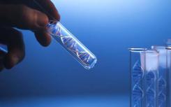 DNA测试中狗健康的未来是什么