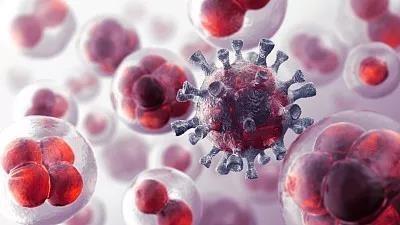 癌症免疫疗法新靶点