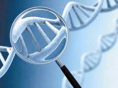 通过解开基因修复之谜 科学家们发现了生物学规则的一个例外