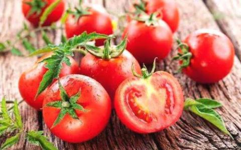 番茄或可减少脂肪肝 肝癌风险