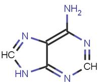 CRISPR基础编辑器进行诊断和补救检查