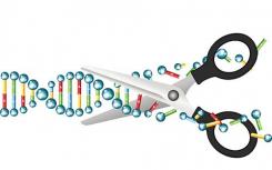 盘点CRISPR基因编辑技术10大不寻常应用