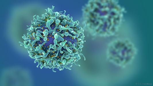 科学家阐明HIV与宿主免疫系统的军备竞赛规则