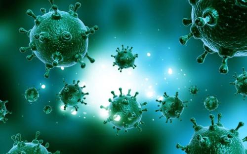 病毒是打击超级细菌的最佳武器吗