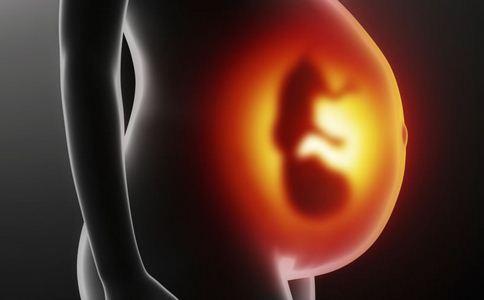 分子谜题揭示了胎儿发育的未知阶段