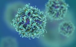 科学家阐明HIV与宿主免疫系统的军备竞赛规则
