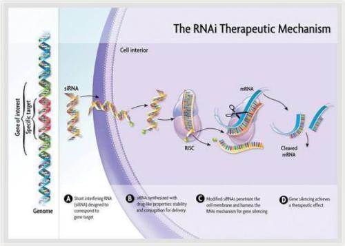 基因疗法新锐Beam Therapeutic完成1.35亿美元B轮融资