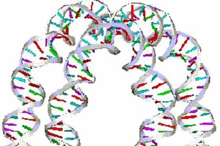 新的综合分析方法揭示了与疾病有关的分子