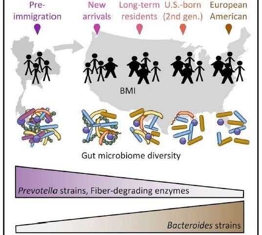 移民美国改变了一个人的微生物群