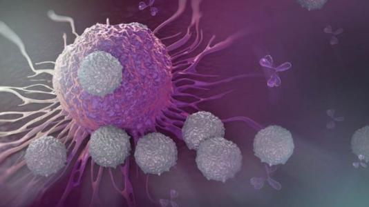 细胞的指纹可以成为抵抗癌症的武器