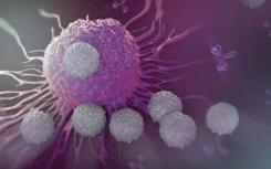 细胞的指纹可以成为抵抗癌症的武器