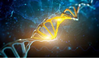 新的蛋白质从大量非编码DNA突然出现