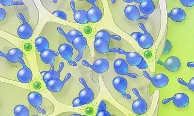 日本批准用于脊髓损伤的iPS细胞疗法试验