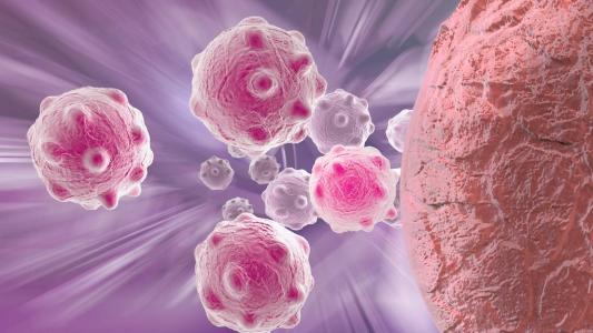ACROBiosystems与ProMab Biotechnologies合作开发免疫治疗产品