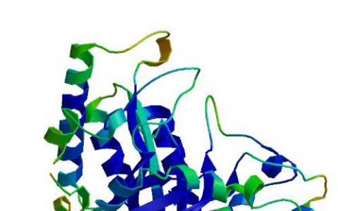 UNH研究发现性别偏见的蛋白质如何在自闭症中发挥作用