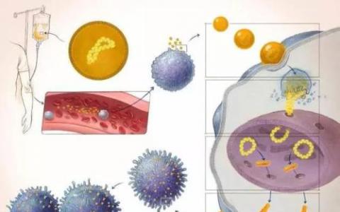 赛多利斯在2019年举办的第三届Research Xchange论坛 聚焦CAR-T细胞疗法