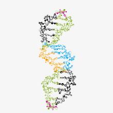 分子装饰技术为药物化学家提供了动力