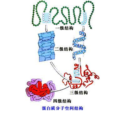 新的昆虫培养基提供高活细胞密度生长和蛋白质产量