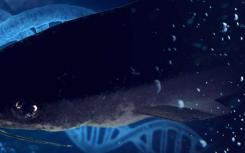 亚洲鲶鱼基因组解码