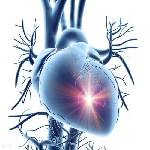 柳叶刀回收心脏干细胞临床试验论文