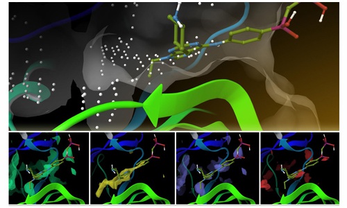 新蛋白质测序方法可以改变生物学研究