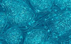Dolomite Bio在AGBT 2019推出新的scRNA-Seq试剂盒
