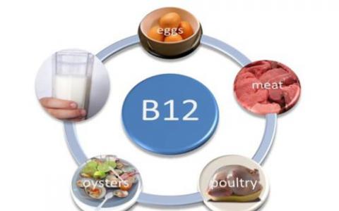 莱斯大学的生物科学家揭示了维生素B12缺乏的危险