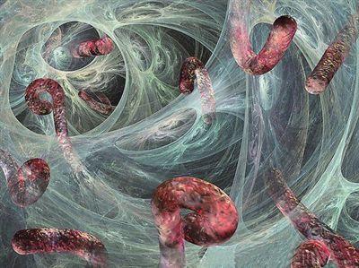 埃博拉病毒蛋白的近原子分辨率模型可以更清楚地了解病毒力学