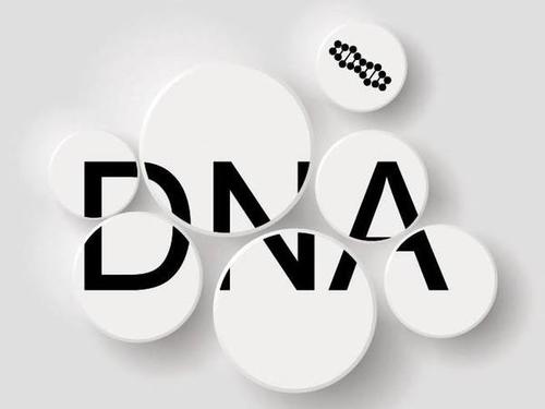 大多数美国人可以通过亲属的DNA鉴定吗