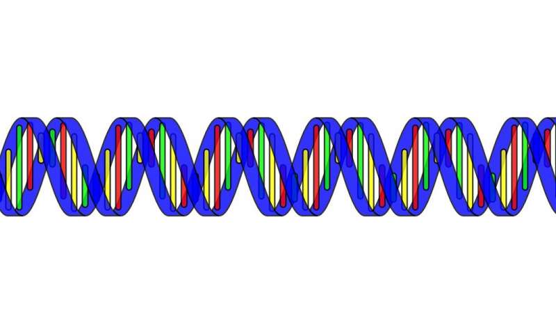 基因组学研究中的错误尺度以及如何应对它