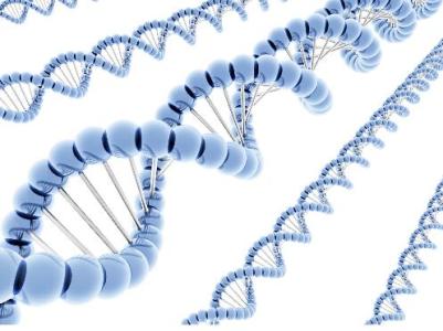 新课程为材料科学家准备生物医学测试