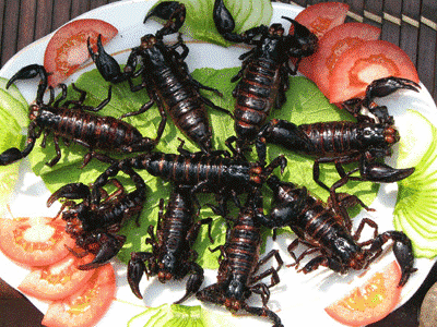 日本昆虫美食的基因组揭示了地球的历史