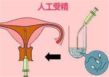 世界上最古老的精液可用于人工授精