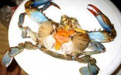 马里兰螃蟹来自哪里 研究人员使用病毒海流图等进行研究